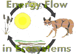 Energy flow