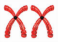 -red-female-chromosomes.jpg