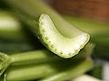 220px-Celery cross section.jpg