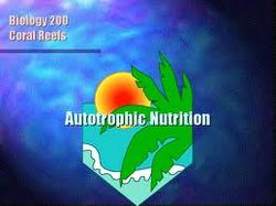 Autotrophic nutrition